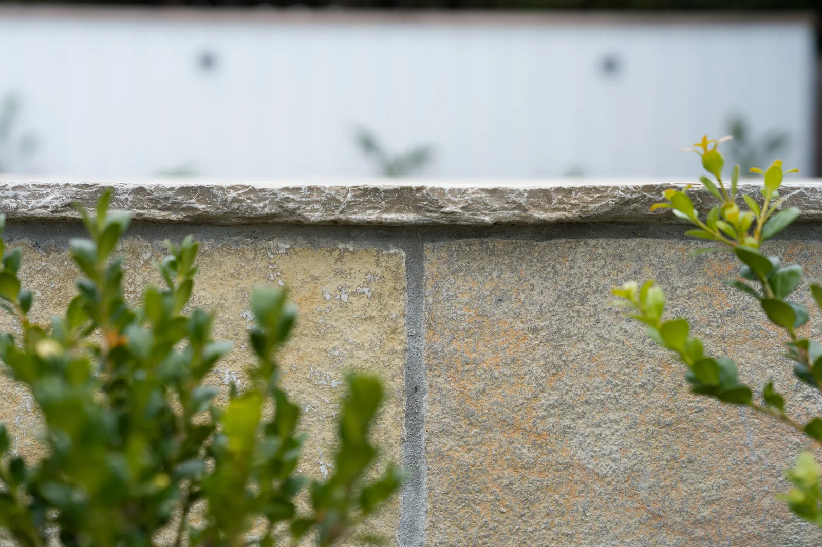 Close detail of a natural stone wall with a chiselled capping edge and integrated planting