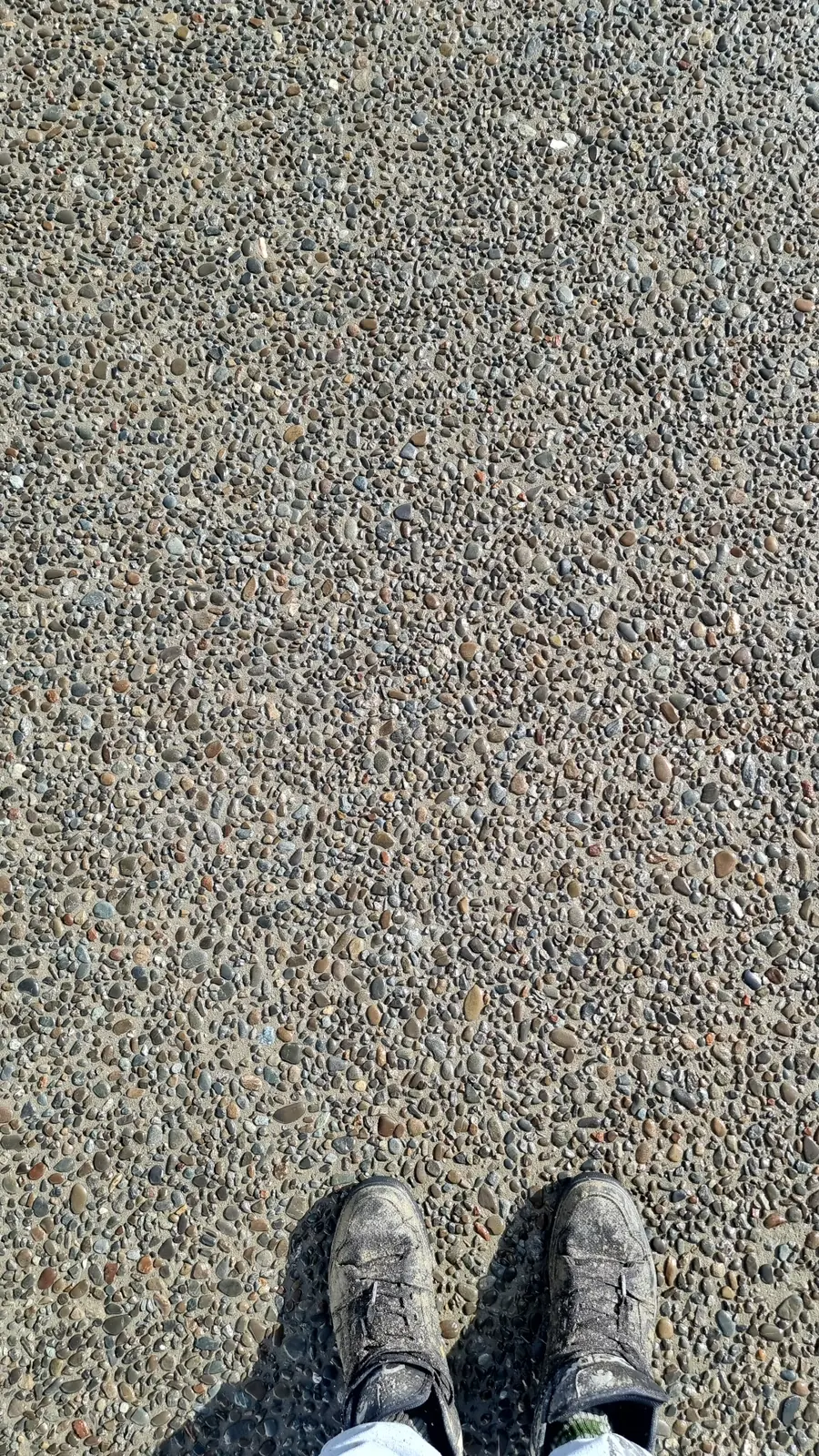 Close detail of the Longburn exposed pebble concrete finish at Puhoi Centennial Hall